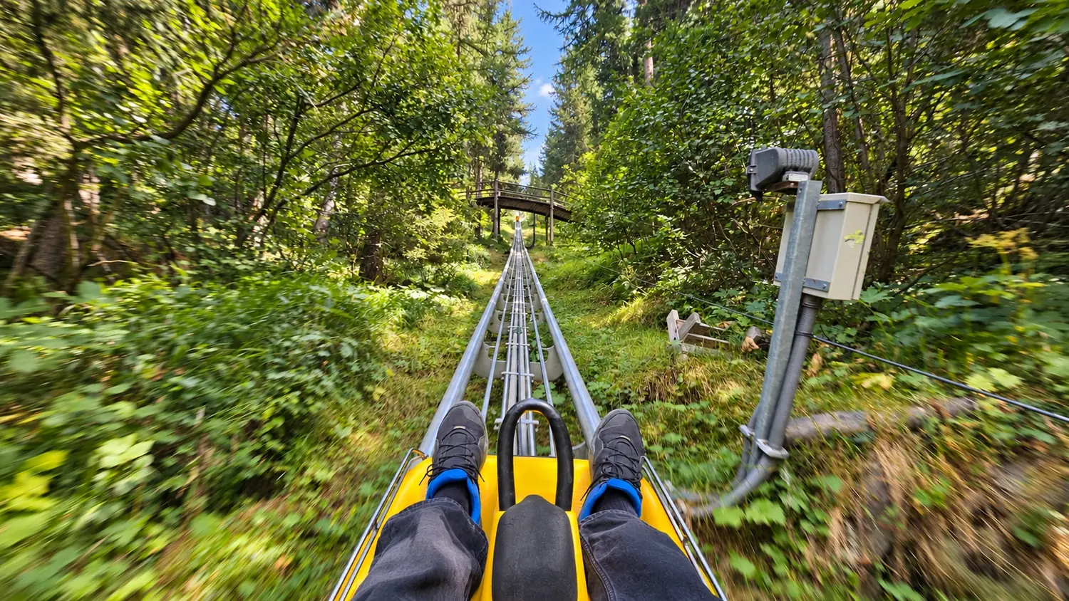 Fahrt auf der Rodelbahn durch den Wald